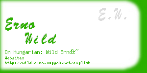 erno wild business card